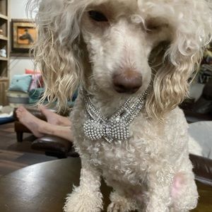 Meet your Posher, Young